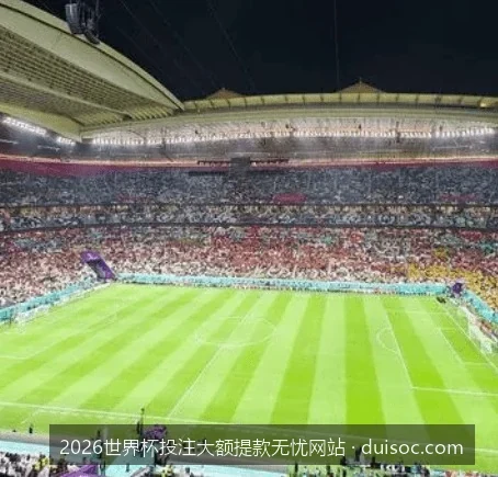 2026世界杯高额投注安全防线：各大主流网站提款速度与额度实测